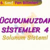 VÜCUDUMUZDAKİ SİSTEMLER – 4 / SOLUNUM SİSTEMİ