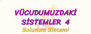 VÜCUDUMUZDAKİ SİSTEMLER – 4 / SOLUNUM SİSTEMİ