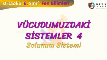 VÜCUDUMUZDAKİ SİSTEMLER – 4 / SOLUNUM SİSTEMİ