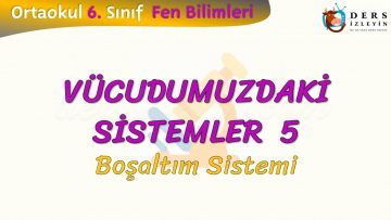 VÜCUDUMUZDAKİ SİSTEMLER – 5 / BOŞALTIM SİSTEMİ