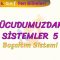 VÜCUDUMUZDAKİ SİSTEMLER – 5 / BOŞALTIM SİSTEMİ