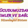 VÜCUDUMUZDAKİ SİSTEMLER VE SAĞLIĞI – 2 / DÜZENLEYİCİ SİSTEM