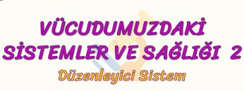 VÜCUDUMUZDAKİ SİSTEMLER VE SAĞLIĞI – 2 / DÜZENLEYİCİ SİSTEM