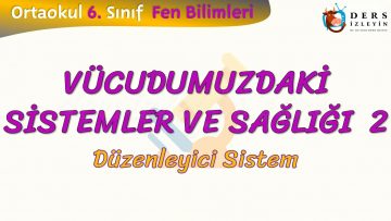 VÜCUDUMUZDAKİ SİSTEMLER VE SAĞLIĞI – 2 / DÜZENLEYİCİ SİSTEM