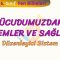 VÜCUDUMUZDAKİ SİSTEMLER VE SAĞLIĞI – 2 / DÜZENLEYİCİ SİSTEM