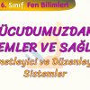 VÜCUDUMUZDAKİ SİSTEMLER VE SAĞLIĞI – 1 / DENETLEYİCİ VE DÜZENLEYİCİ SİSTEMLER
