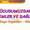 VÜCUDUMUZDAKİ SİSTEMLER VE SAĞLIĞI – 3 / DUYU ORGANLARI – GÖZ