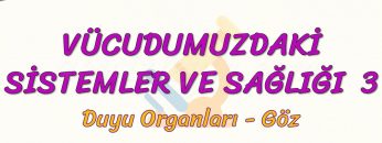 VÜCUDUMUZDAKİ SİSTEMLER VE SAĞLIĞI – 3 / DUYU ORGANLARI – GÖZ
