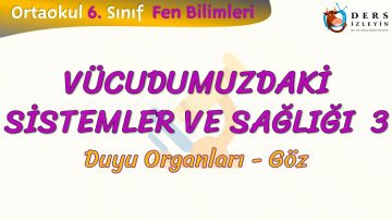 VÜCUDUMUZDAKİ SİSTEMLER VE SAĞLIĞI – 3 / DUYU ORGANLARI – GÖZ