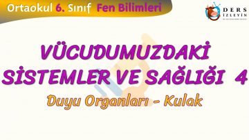 VÜCUDUMUZDAKİ SİSTEMLER VE SAĞLIĞI – 4 / DUYU ORGANLARI – KULAK