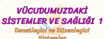 VÜCUDUMUZDAKİ SİSTEMLER VE SAĞLIĞI – 1 / DENETLEYİCİ VE DÜZENLEYİCİ SİSTEMLER