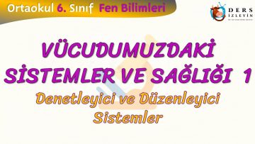 VÜCUDUMUZDAKİ SİSTEMLER VE SAĞLIĞI – 1 / DENETLEYİCİ VE DÜZENLEYİCİ SİSTEMLER
