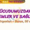 VÜCUDUMUZDAKİ SİSTEMLER VE SAĞLIĞI – 5 / BURUN, DİL VE DERİ