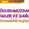 VÜCUDUMUZDAKİ SİSTEMLER VE SAĞLIĞI – 6 / SİSTEMLERİN SAĞLIĞI