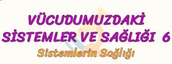 VÜCUDUMUZDAKİ SİSTEMLER VE SAĞLIĞI – 6 / SİSTEMLERİN SAĞLIĞI