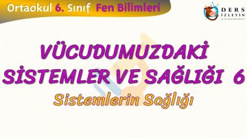 VÜCUDUMUZDAKİ SİSTEMLER VE SAĞLIĞI – 6 / SİSTEMLERİN SAĞLIĞI