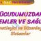 VÜCUDUMUZDAKİ SİSTEMLER VE SAĞLIĞI – 1 / DENETLEYİCİ VE DÜZENLEYİCİ SİSTEMLER