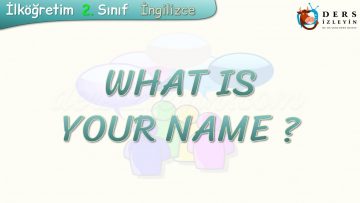 WHAT IS YOUR NAME