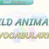 WILD ANIMALS / VOCABULARY