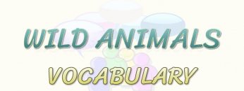 WILD ANIMALS / VOCABULARY