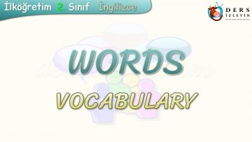 WORDS / VOCABULARY
