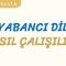 YABANCI DİL NASIL ÇALIŞILIR