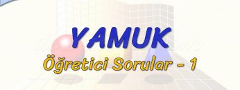 YAMUK  / ÖĞRETİCİ SORULAR – 1