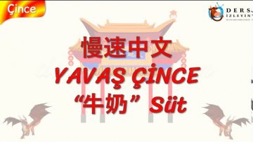 YAVAŞ ÇİNCE / SÜT (ÇİNCE) 143. DERS