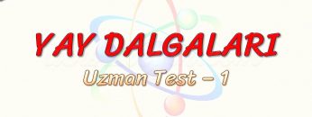 YAY DALGALARI / UZMAN TEST – 1