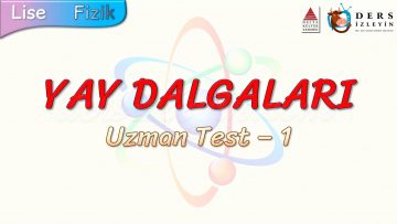 YAY DALGALARI / UZMAN TEST – 1