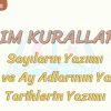 YAZIM KURALLARI – 5 / SAYILARIN, GÜN, AY ADLARININ VE TARİHLERİN YAZIMI