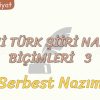 YENİ TÜRK ŞİİRİ NAZIM BİÇİMLERİ – 3 / SERBEST NAZIM