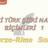 YENİ TÜRK ŞİİRİ NAZIM BİÇİMLERİ – 1 / TERZA-RİMA – SONE