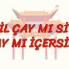 YEŞİL ÇAY MI SİYAH ÇAY MI İÇERSİN (ÇİNCE) 36. DERS