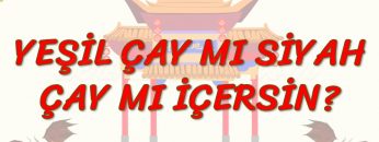YEŞİL ÇAY MI SİYAH ÇAY MI İÇERSİN (ÇİNCE) 36. DERS