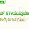 ZAYIF ETKİLEŞİMLER / GELİŞTİRİCİ TEST – 1