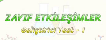 ZAYIF ETKİLEŞİMLER / GELİŞTİRİCİ TEST – 1