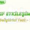 ZAYIF ETKİLEŞİMLER / GELİŞTİRİCİ TEST – 1