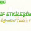 ZAYIF ETKİLEŞİMLER / ÖĞRETİCİ TEST – 1