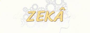 ZEKA