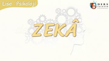 ZEKA