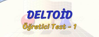 DELTOİD / ÖĞRETİCİ TEST – 1 (TYT)