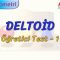 DELTOİD / ÖĞRETİCİ TEST – 1 (TYT)