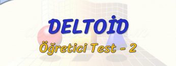 DELTOİD / ÖĞRETİCİ TEST – 2 (TYT)