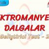 ELEKTROMANYETİK DALGALAR / GELİŞTİRİRCİ TEST – 2