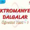 ELEKTROMANYETİK DALGALAR / ÖĞRETİCİ TEST – 1
