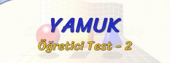 YAMUK / ÖĞRETİCİ TEST –  2 (TYT)