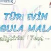 TÜREVİN UYGULAMALARI / GELİŞTİRİCİ TEST – 11