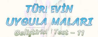 TÜREVİN UYGULAMALARI / GELİŞTİRİCİ TEST – 11