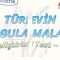 TÜREVİN UYGULAMALARI / GELİŞTİRİCİ TEST – 11